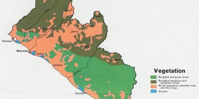Harta de vegetație harta din Liberia